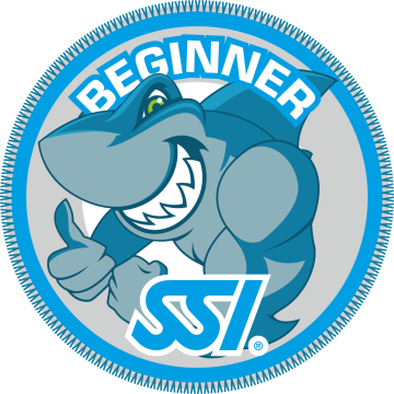 I_BEGINNER